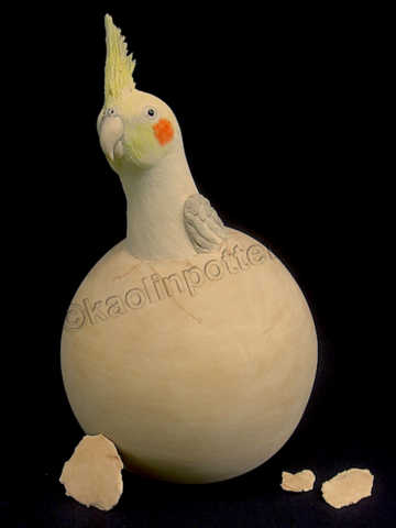 Kaolin Pottery Gt. Barrington, MA ceramic art gallery custom clay pet cockatiel 