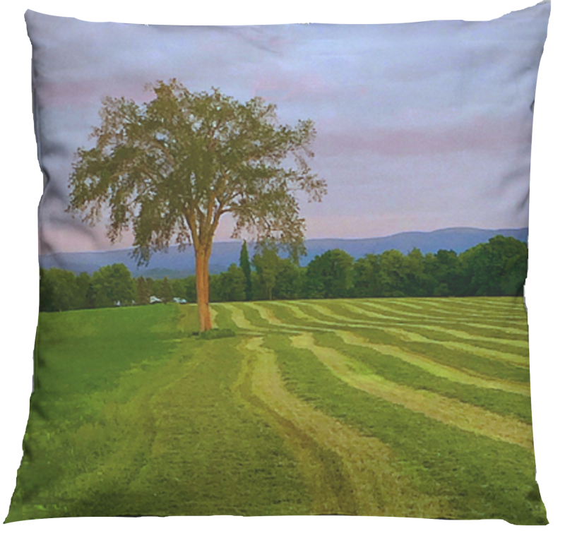 Baldwin Hill elm tree pillow MissyKaolin VIDA farm,Berkshires,green,nature,sunse